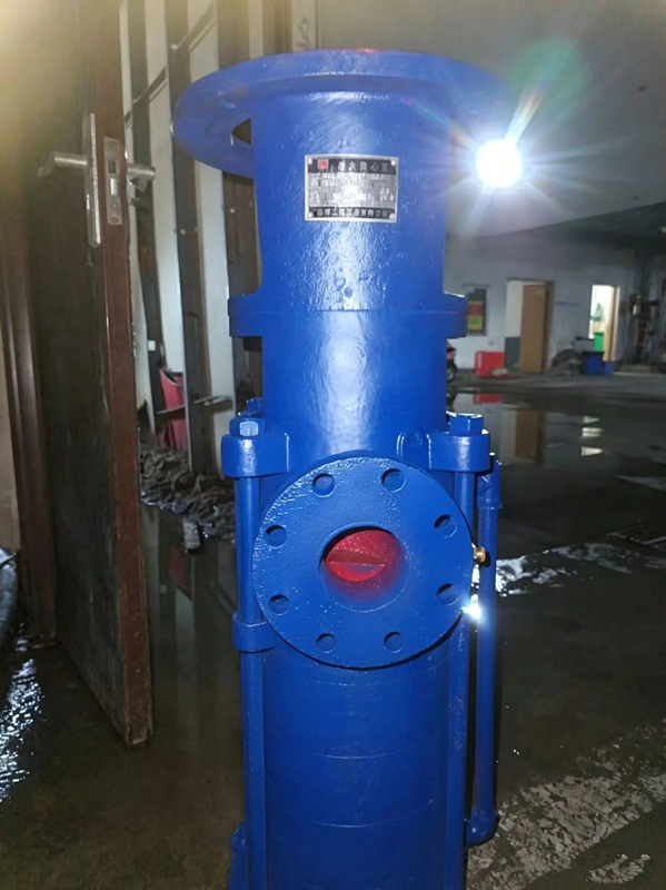 泵房现场更换安装水泵
